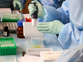 Expanded cannabis scientific research leadership with first human β-caryophyllene (BCP) 