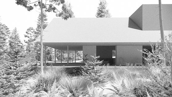 Architecture. Esquisse. Projet nature. Nature. Chalet. Maison unifamiliale. Bois. Métal. Lumière. Lumineux. Construction.