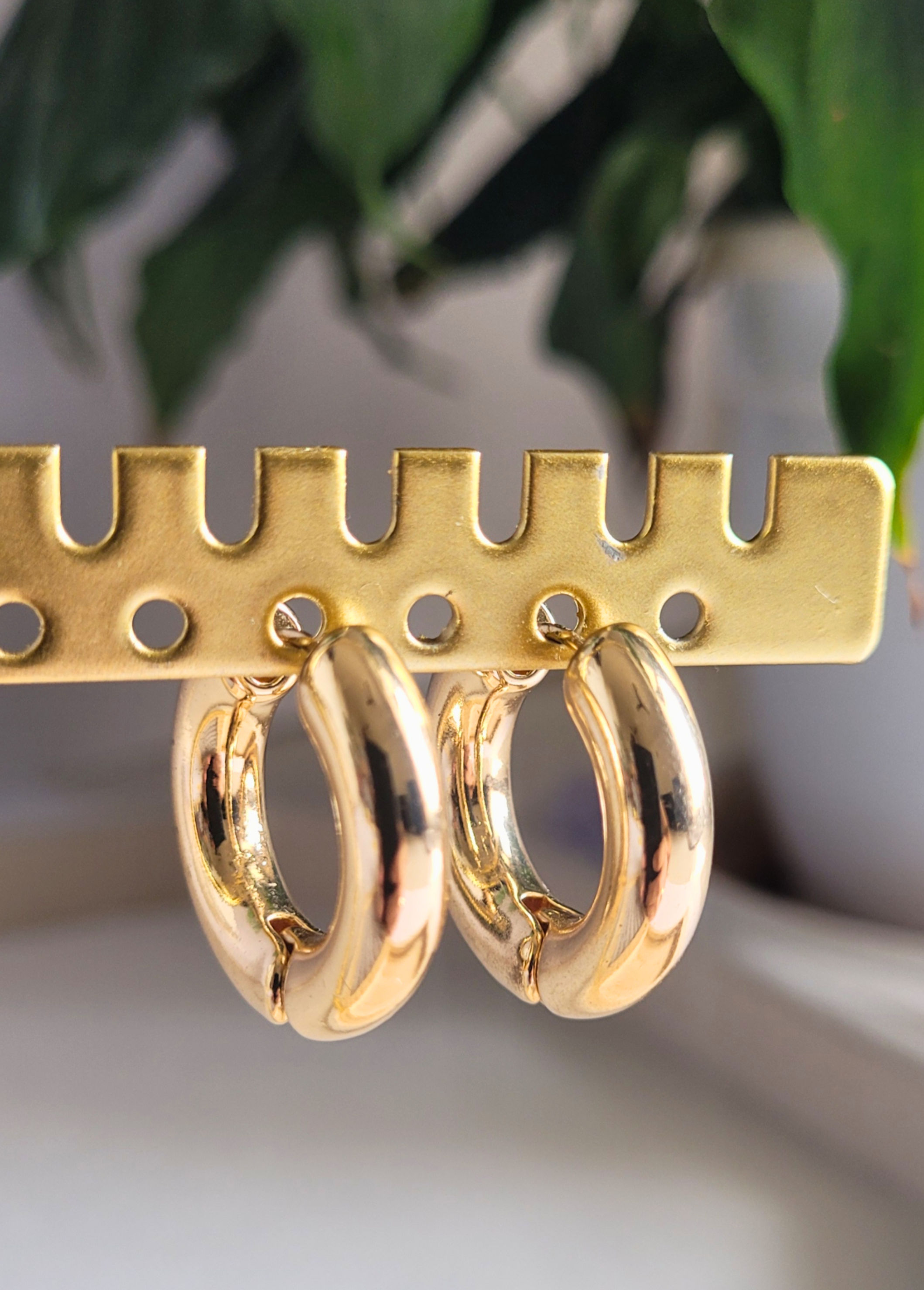 Solar Curve Hoops