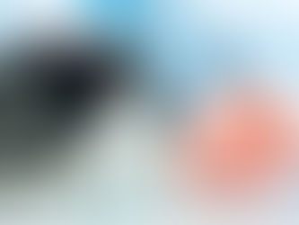 USUCAPIÃO EXTRAJUDICIAL