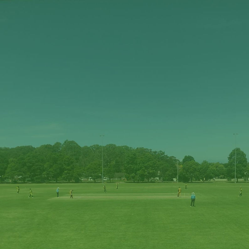 Home field.jpg