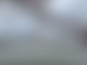 “Lo opuesto a la muerte no es la vida, sino el nacimiento” Dr. Mario Alonso Puig