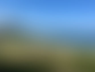 El trabajo sin prisa es el mayor descanso para el organismo. ~Gregorio Marañón