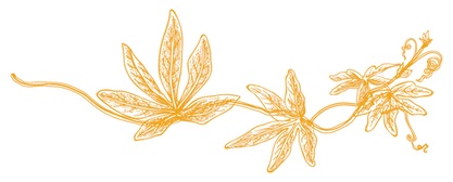 AdobeStock_282078817_22_edited_edited.pn