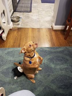 Resized_20190921_190251