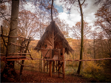 cabane des fées