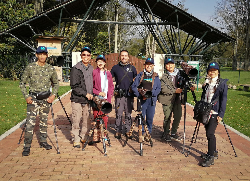 Go Birding Colombia.