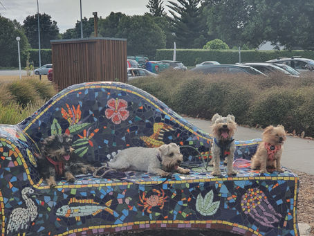 Ōrewa Estuary Path, Te Ara Tahuna
