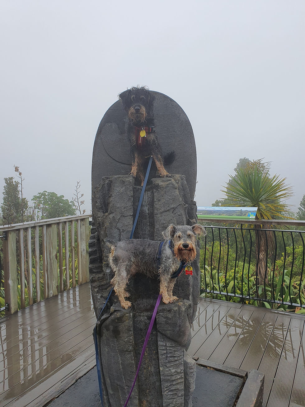 Slip-Pipeline- Arataki Loop