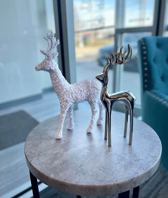 Pinnacle Dental Group - Christmas decoration