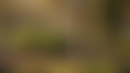 A Sustainable Balanced Approach