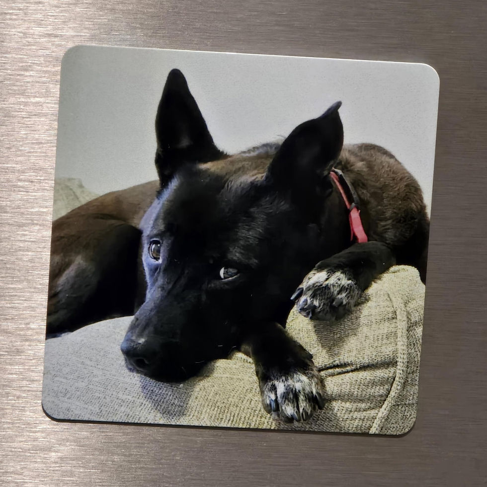 Custom Dog Photo Magnet — photo 1
