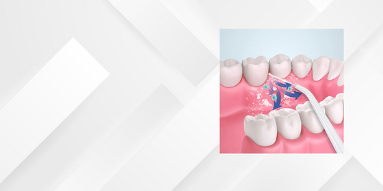 Smile2Go - bannière (1).png