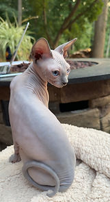 IMG_8874.jpeg