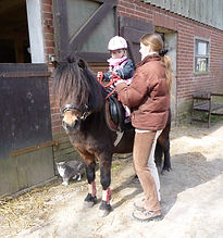 Ponyreiten als geführter Ausritt