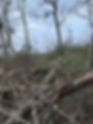 IMG_4723.jpeg