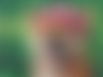 Dogwifhat Price Prediction: WIF Might Be Primed for Upside Breakout Amidst Market Uncertainty