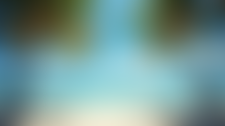 Acheter une Entreprise à Tahiti : Ce qu'il Faut Savoir