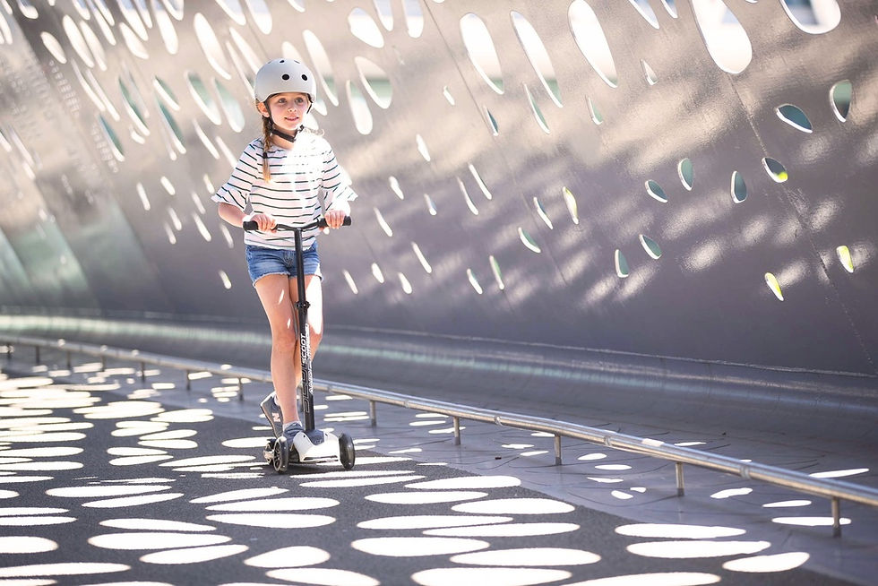 Thumbnail: SCOOT & RIDE Highwaykick 5  LED Ash 