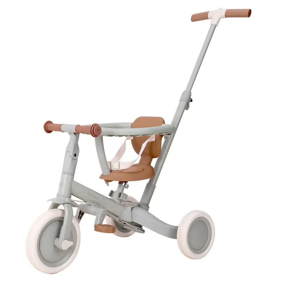 Thumbnail: LITTLE DUTCH - Tricycle 4in1 - Green