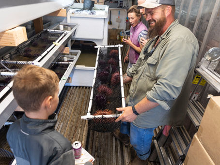 The Central Coast Food Web continues to innovate to make it easier for all people to buy and to eat locally grown and sourced food