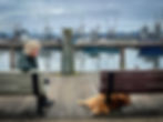 Woman sitting on a bench near a harbor, talking to a dog lying under another bench. Overcast sky and fishing boats in the background.