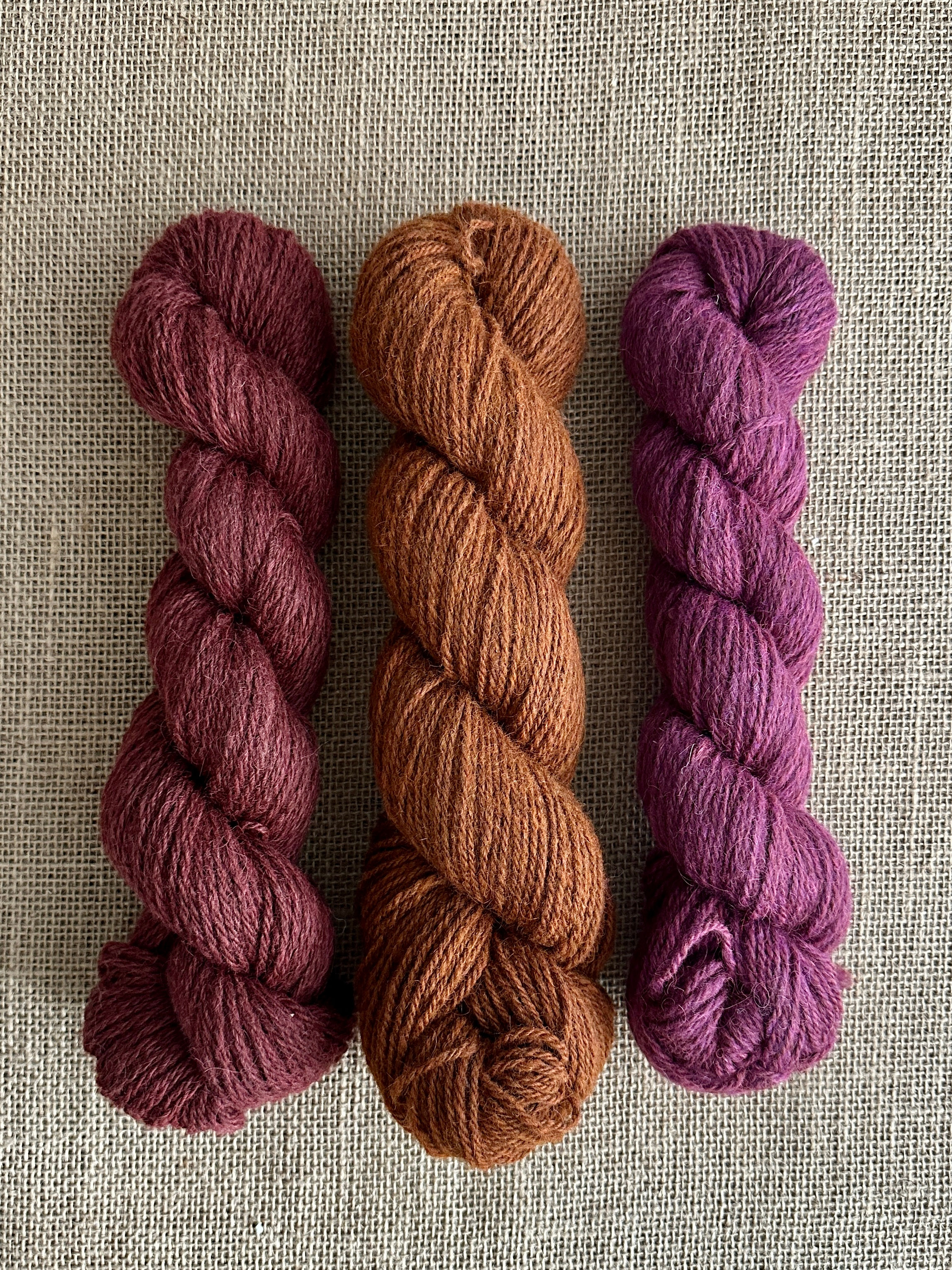 Hand-Dyed Camp Sock Yarn Fall Collection