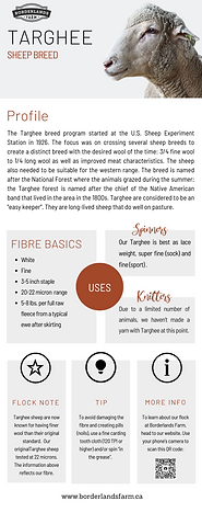 Targhee Breed Study.png