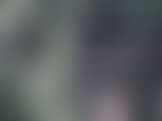 The bush has a thousand eyes