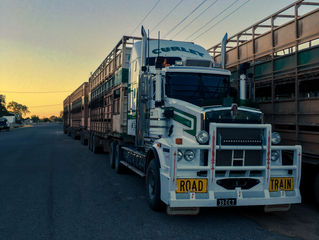 Sur la route de l'Outback