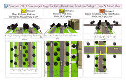 SBF devt standards.1