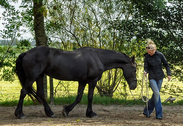 Ilse verloove-34.jpg