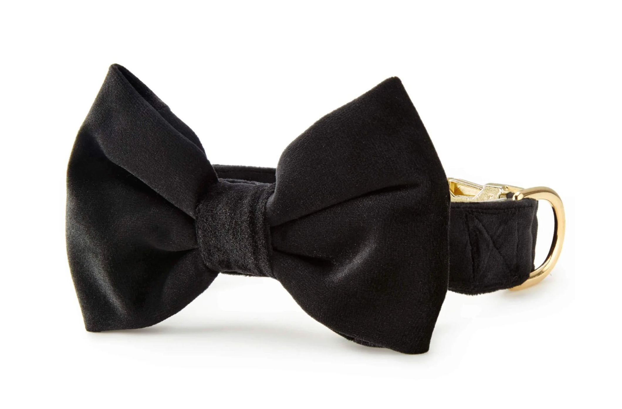 Black Velvet Bow Tie Collar