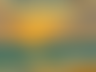 When Employees Run Like Waves: How Flow, Energy, and Autonomy Shape Performance