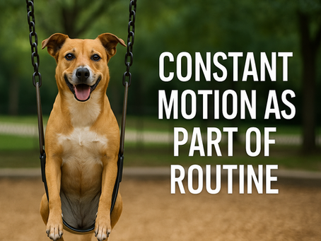 Constant Motion as Part of Routine: Turning Change into a Rhythm