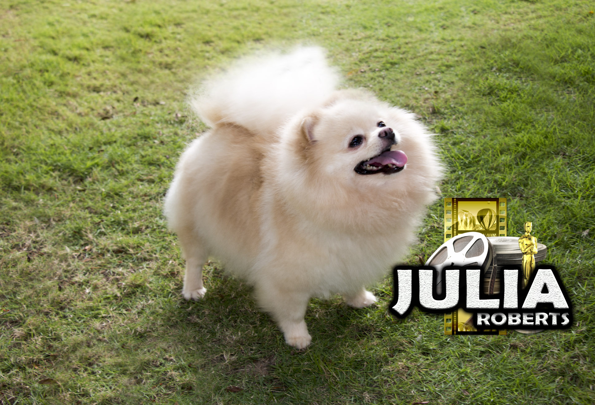 Julia