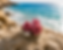 ROSE ETERNELLES ROSE EFFET MER.PNG