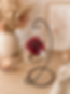 suspension rouge mer guigui.PNG
