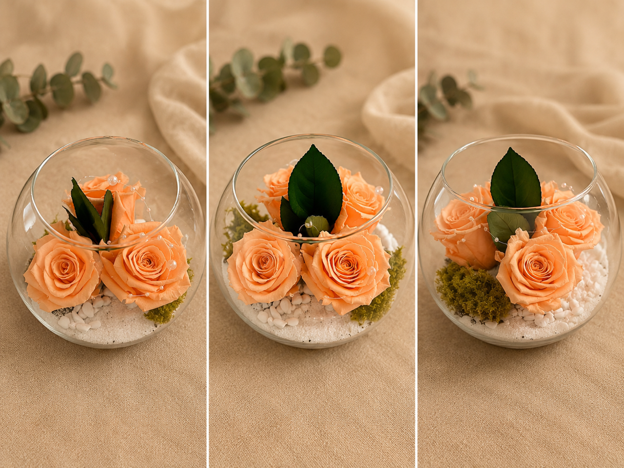 Effet roses pêche éternelles
