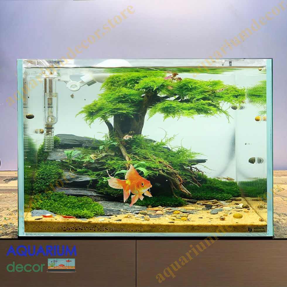 A Guide to Cleaning Bonsai Driftwood for Aquariums