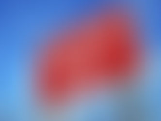 4 sinais de que não deve candidatar-se ao emprego