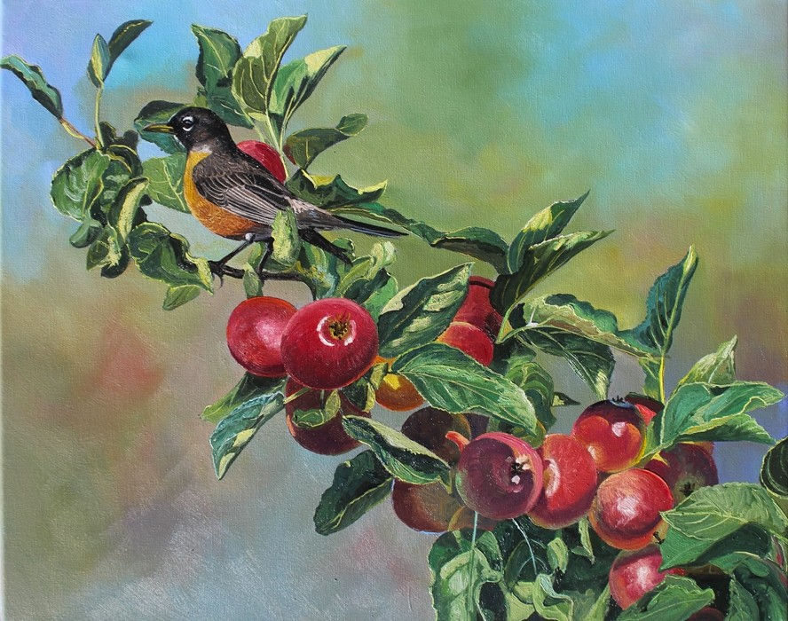 Robin and Apples by Andrew Kiss, a 16 x 20 oil painting of a robin perched among red apples and green leaves.
