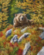 Amongst the Larch by Andrew Kiss, a 24 x 30 oil painting of a bear resting among golden larch trees and autumn foliage.