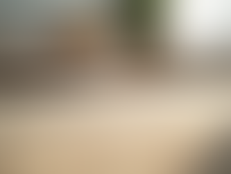 Why Area Rugs Are a Must-Have in Homes: Benefits of Area Rugs