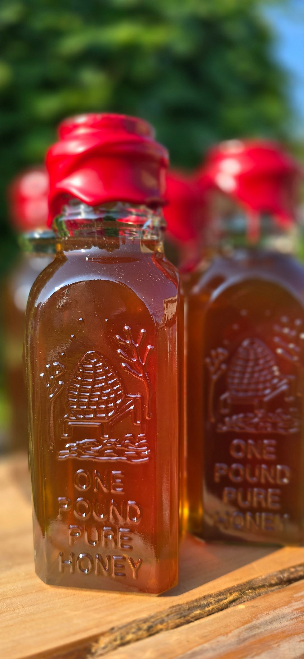Thumbnail: Sourwood Honey
