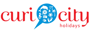 CYou Logo BG removed.png