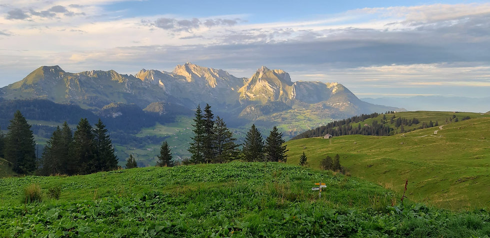 View from the Selun Alp _ Switzerland _