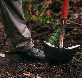 trailwork.jpeg