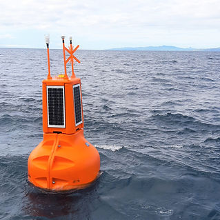 sea-buoy1.jpg