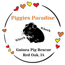 Logo for Piggies Paradise.
